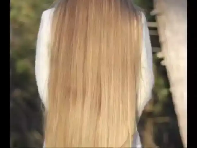 赵明辉